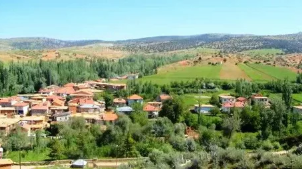 KONYA ILGIN BELEKLER KÖYÜNDE 9.182M² TARLAMIZ SATILIKTIR - KONYA ILGIN fotoğraf 11